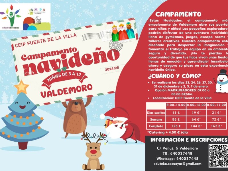 Campamento Navidad cartel